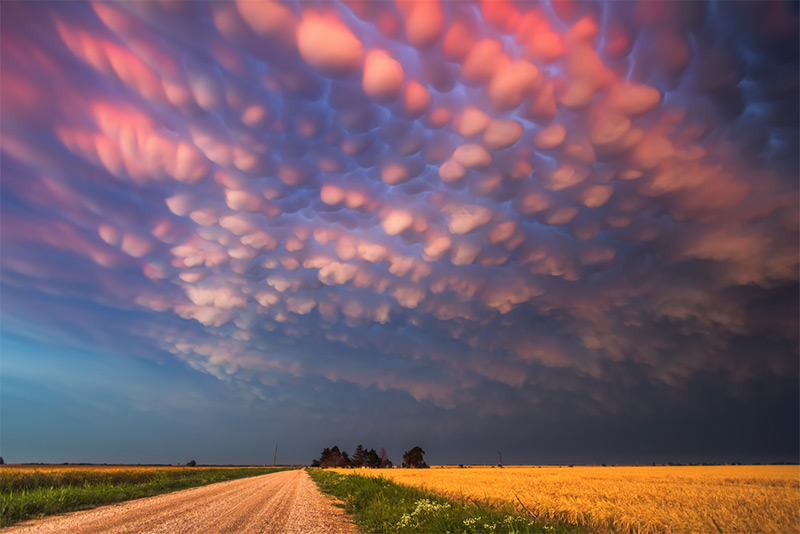 Mike Hollingshead Storm Chasing 1