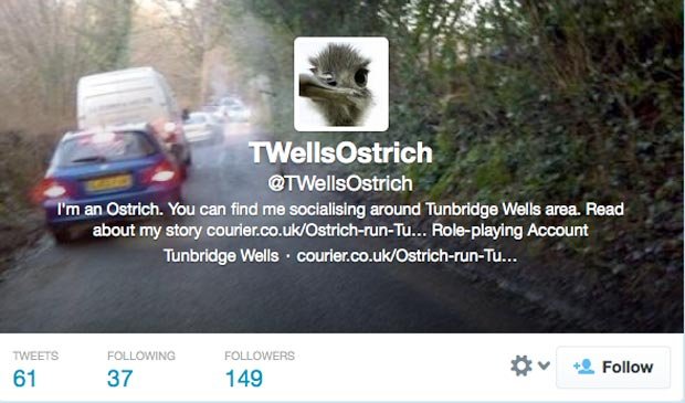 Ostrich Tunbridge Wells - Twitter