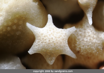 Sand Grains 14