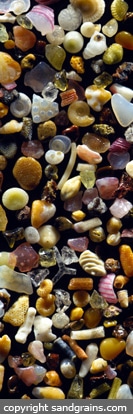 Sand Grains 15