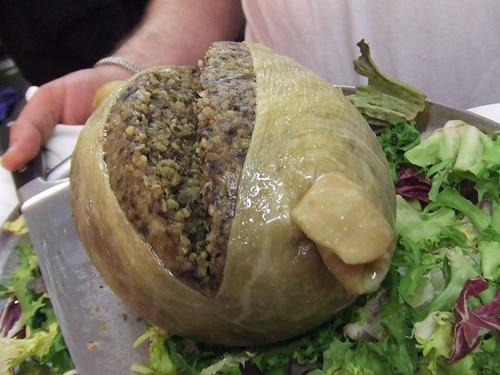 Weird News -  haggis 2