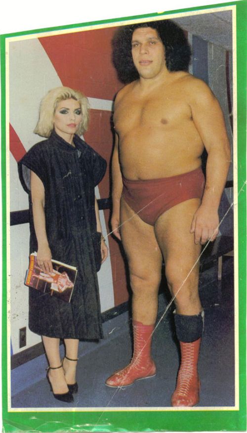 Andre The Giant Penis