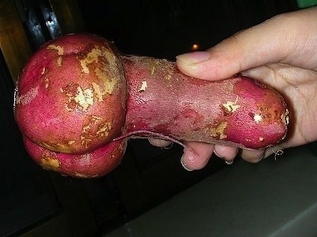 potato penis