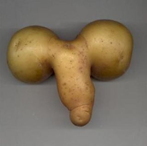 potatopenis4