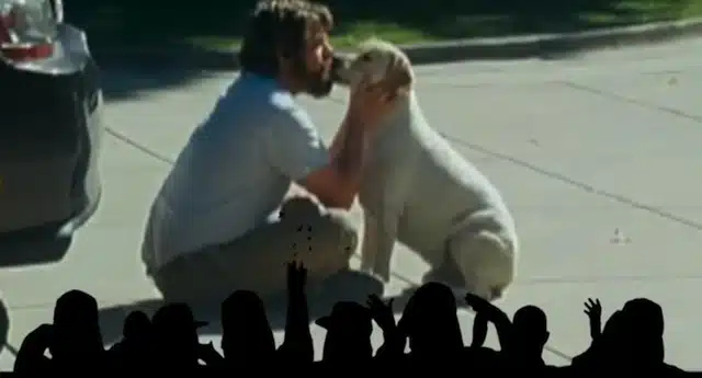 Music Video: White People Crazy