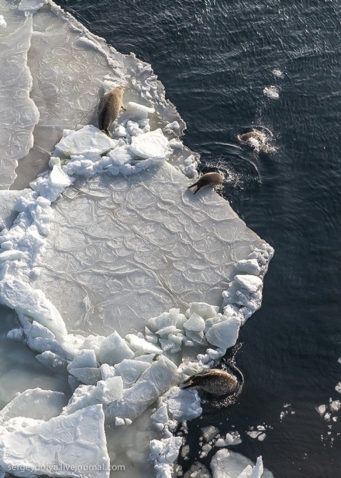 Amazing Pictures From Russia - Far East of Russia