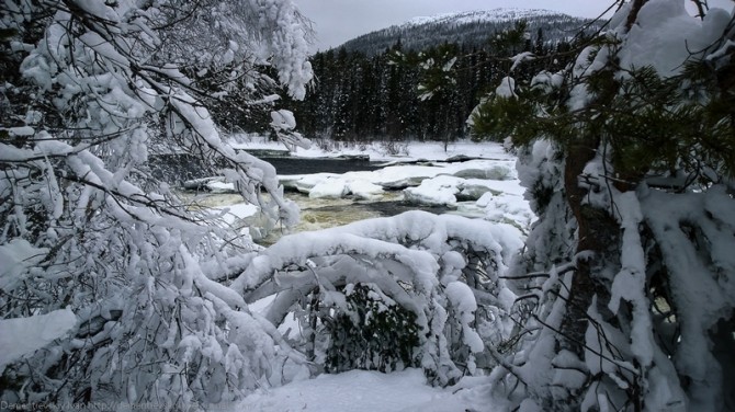 Amazing Pictures From Russia - North 2