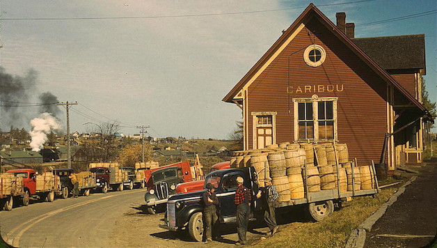 Historical Colourised Pictures America