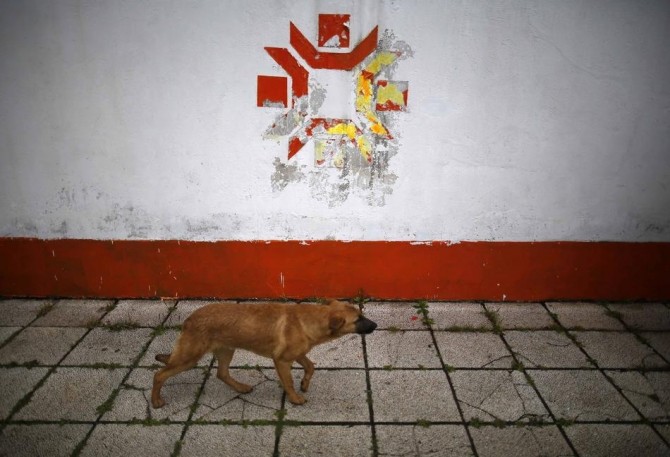 Sarajevo Winter Olympics - Abandoned - olympic symbol