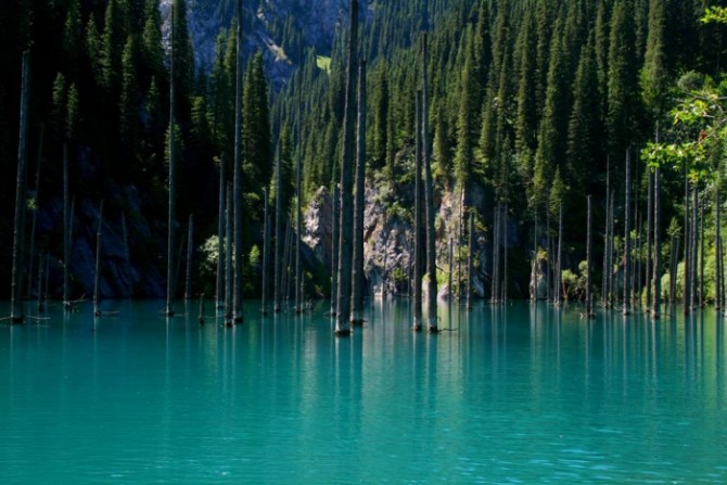 Sunken Forest in Kazakhstan - Lake Blue 2