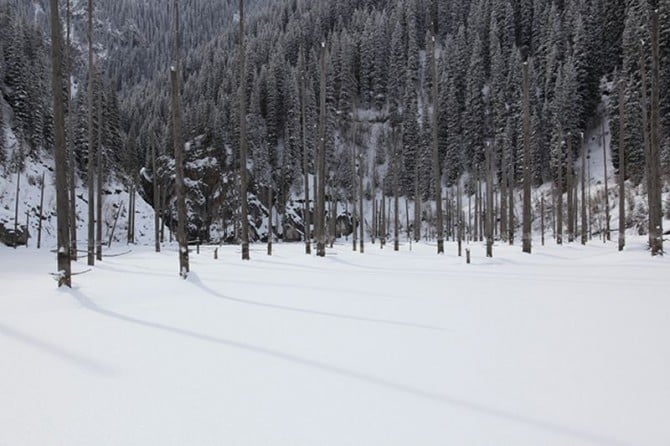 Sunken Forest in Kazakhstan - Lake Kaindy in winter