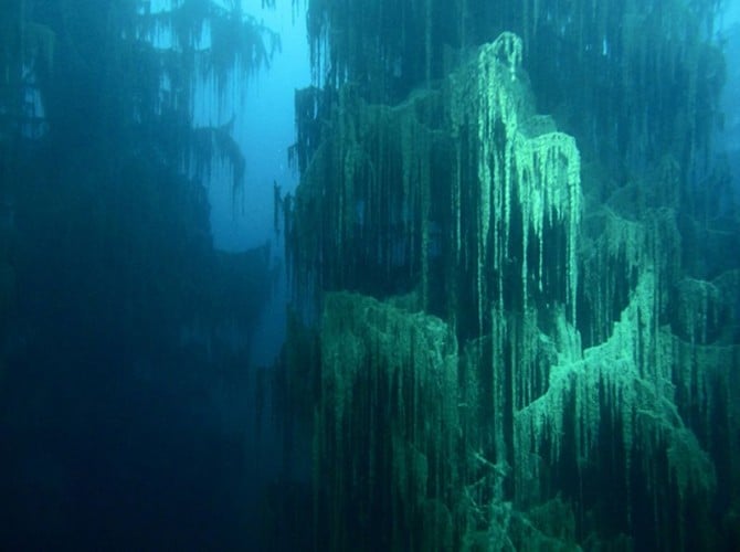 Sunken Forest in Kazakhstan - Lake Kaindy in winter under ice 3