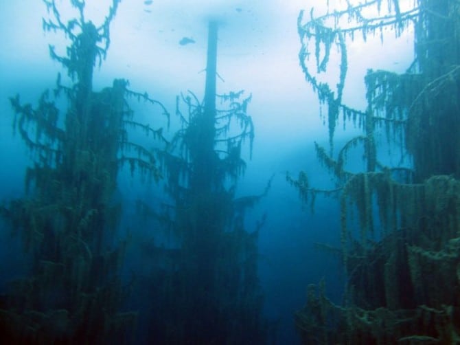 Sunken Forest in Kazakhstan - Lake Kaindy in winter under ice 4