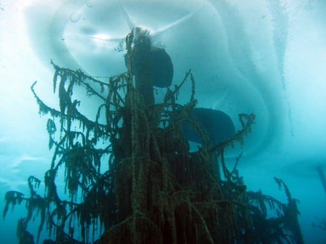 Sunken Forest in Kazakhstan - Lake Kaindy in winter under ice