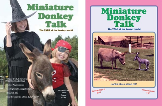Weird Magazine Titles Covers - Miniature Donkey Talk 2