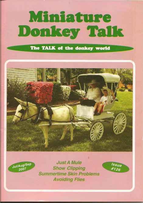 Weird Magazine Titles Covers - Miniature Donkey Talk