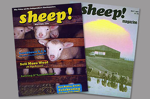 Weird Magazine Titles Covers - Sheep 2