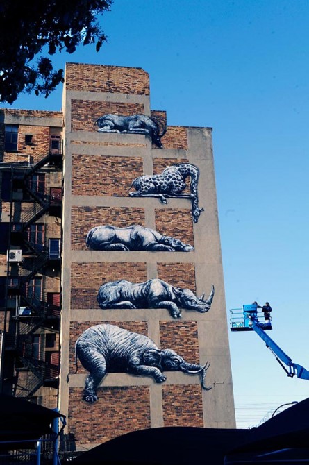 African Street Art -  Johannesburg - Roa Belgium 2
