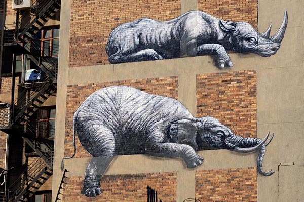 African Street Art -  Johannesburg - Roa Belgium 3