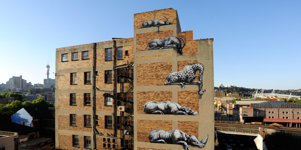 African Street Art -  Johannesburg - Roa Belgium