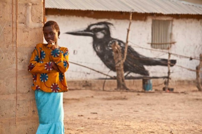 African Street Art - Kingfisher