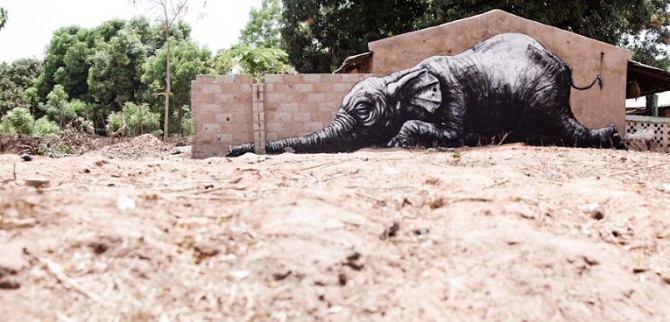 African Street Art -  - Roa Belgium Gambia Elephant