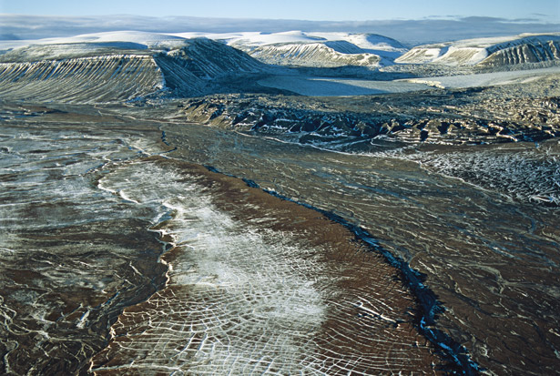 Ancient Virus 30,000 Pithovirus sibericum permafrost