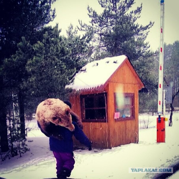 Awesome Photos From Russia With Love - bus bear man