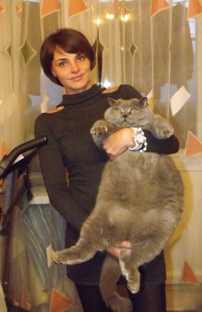 Awesome Photos From Russia - massive cat