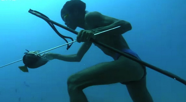 Bajau Tribe Hunting UnderwaterBajau Tribe Hunting Underwater