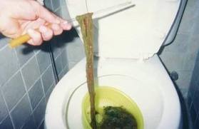 Colonic Irrigation - Bowels cup cake 2