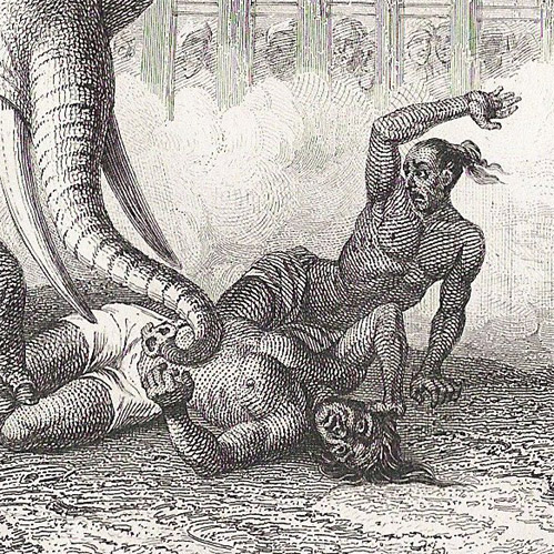 Execution death by elephant - close up