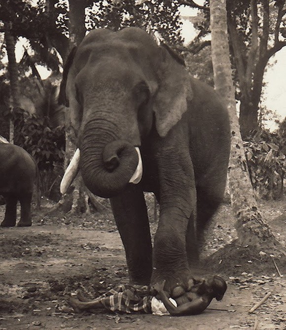 Execution death by elephant - war 2