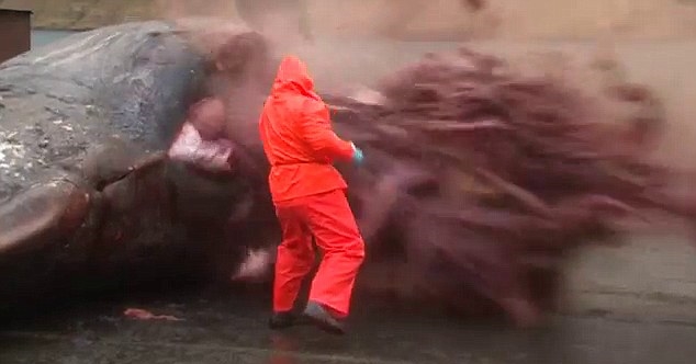 Exploding Dead Whales - Kent Motorway Faroe 4