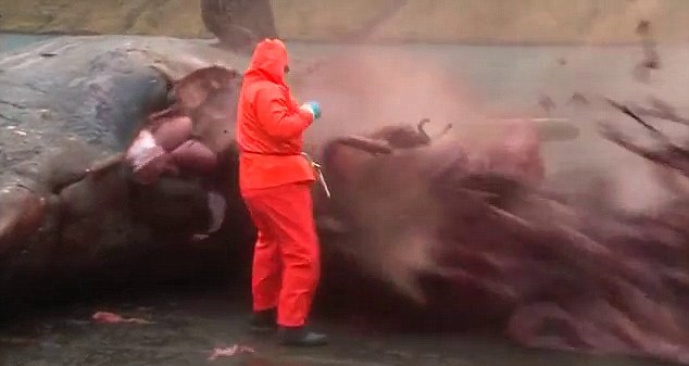 Exploding Dead Whales - Kent Motorway Faroe 5