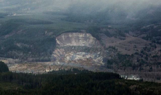 Mudslide - Snohomish County - Oso - bite