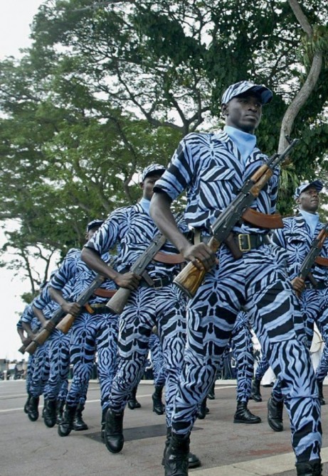 Ridiculous Funny Military - Cote d'Ivoire - zebra