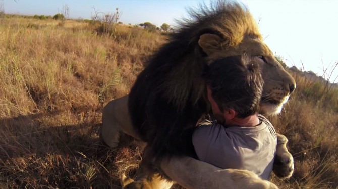 Lion Whisperer