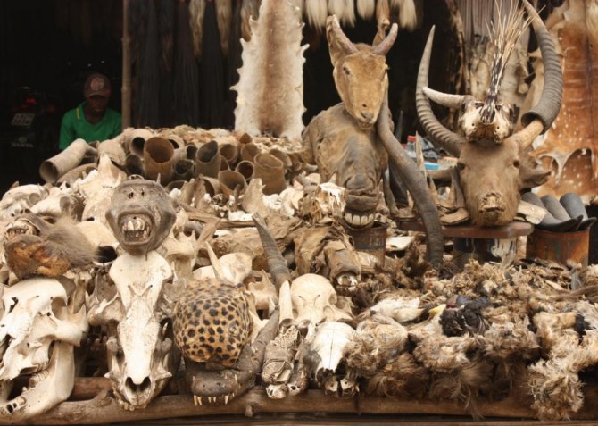 Akodessewa Voodoo Market Togo - corpses