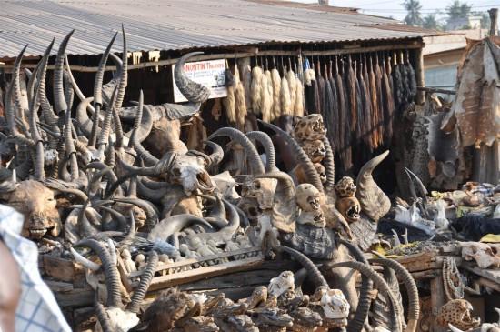 Akodessewa Voodoo Market Togo - skulls