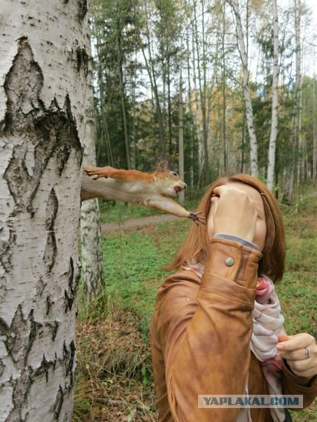 Awesome Photos From Russia - squirrel