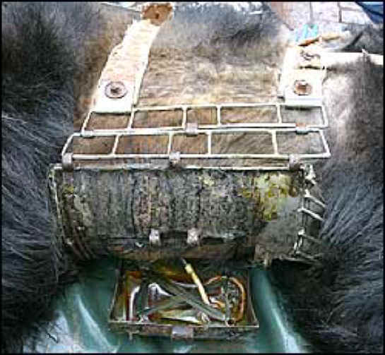 Bile Bear Farming China - Metal Box