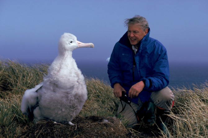 SIR DAVID ATTENBOROUGH