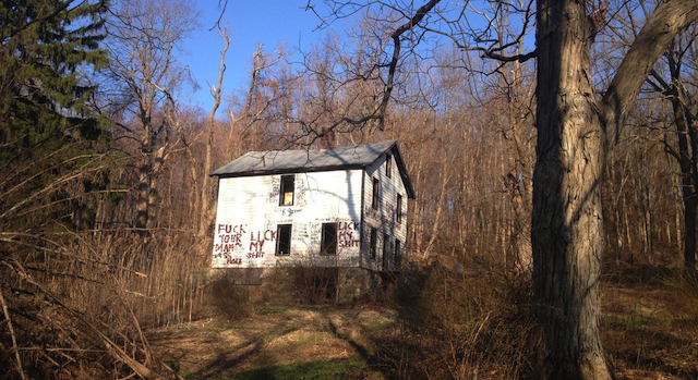 Jack Palmer Insult Graffiti House
