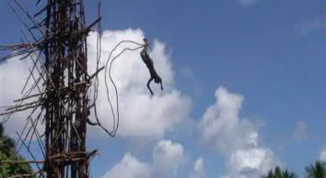 VIDEO: Vanuatu Land Divers And The Ghetto Bungee Jump