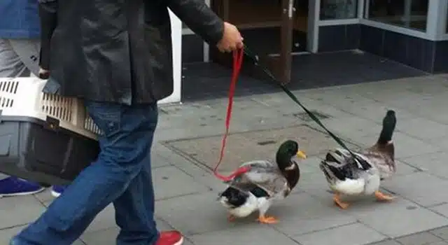 Top 4 Weirdest News Of The Week #1 Is Gruesome (NSFW)