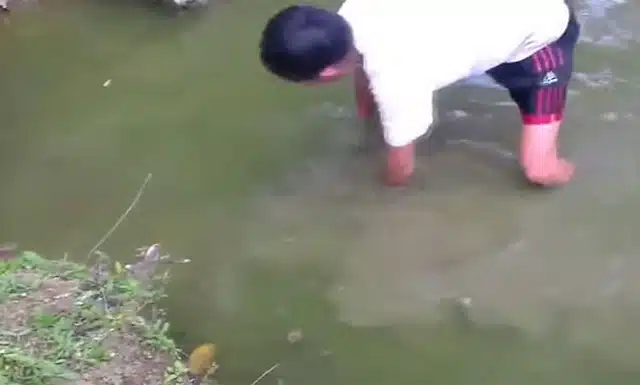 VIDEO: How To Catch An Electric Eel (Spoiler: You Don’t)
