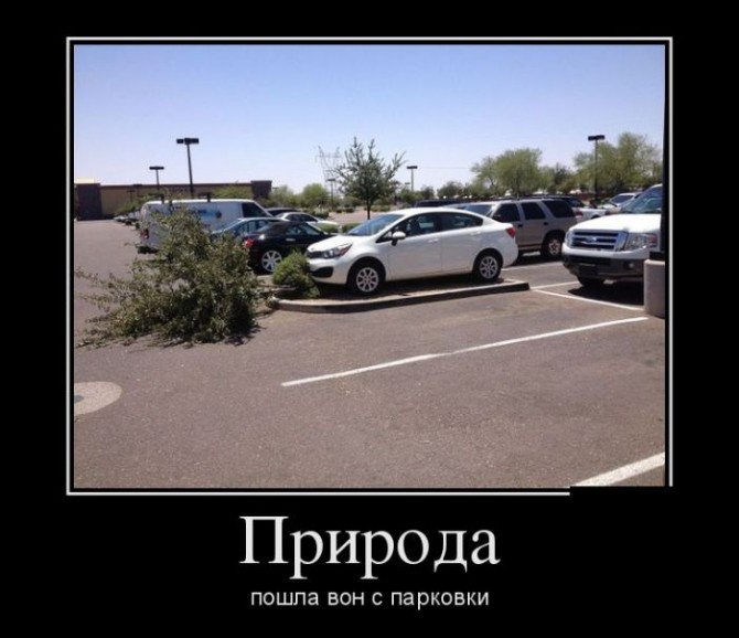Awesome Photos From Russia - parking win