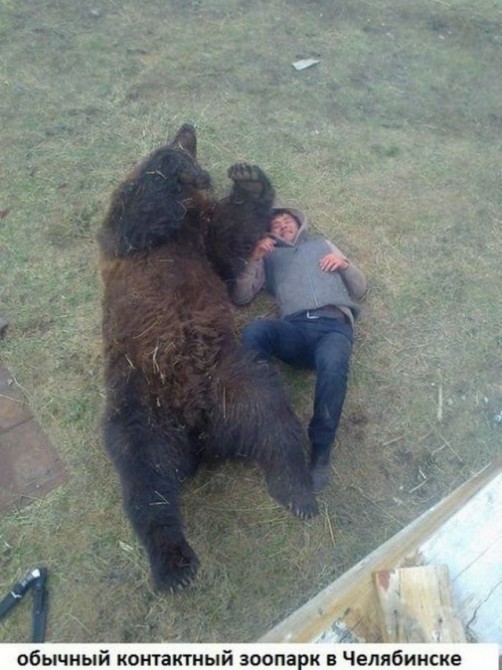 Awesome Photos From Russia - pet bear