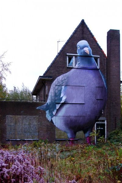 Awesome Phots Russia With Love - Pigeon Art